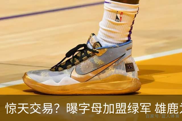 惊天交易？曝字母加盟绿军 雄鹿为布朗寻找第三方