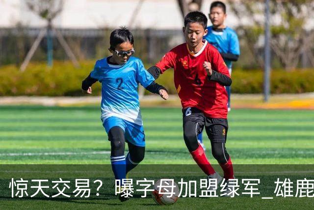 惊天交易？曝字母加盟绿军 雄鹿为布朗寻找第三方